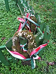 IMG_20171231_104151