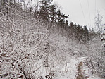 DSCN3040