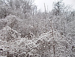 DSCN3041