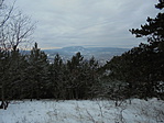 DSC08918