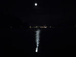 DSCN0981