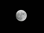 DSCN0985
