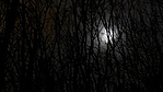 2017-11-28_003