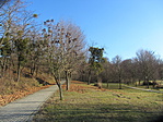 IMG_0508