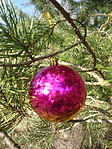 P1150202