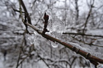DSC02392