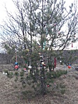 20171227_142713