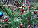 IMG_20171225_144818_HDR