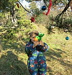 IMG_5073k