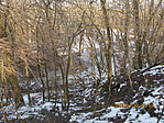 IMG_8569