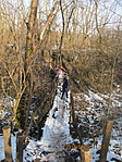 IMG_8573