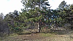 20180104_132917