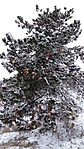 20171230_150059