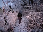 IMG_20180114_070045