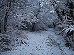 IMG_20180114_070758