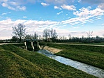 IMG_8199