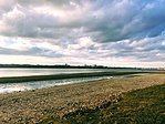 IMG_8202