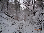 DSC01248