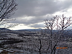 DSC01250