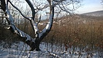 WP_20180125_014