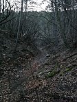 Kivilágosodott