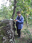 DSCF4421