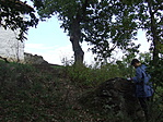 DSCF4422
