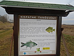 Tanösvény
