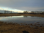 Mocsár?