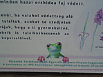 Ő is itt lakik!