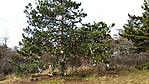20180103_112802