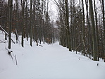 P1000254