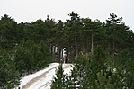-6
