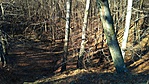 IMG_20180129_131439