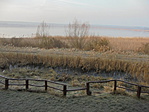 DSC09235