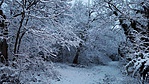 20180114_070753