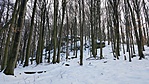 20180128_111850