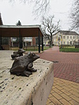 IMG_9611