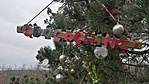 IMG_20180103_131449_1