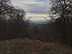 IMG_8517