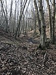 2018-01-27 12.13.31 HDR