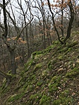 2018-01-27 13.03.30 HDR