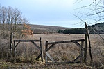 DSC_0908