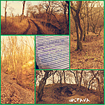 GCPAVA_01