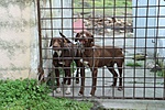 IMG_9544