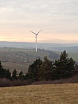 IMG_0208