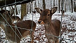 IMG_20180114_120729_HDR
