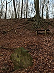 IMG_2432