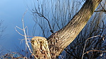 DSCN0924