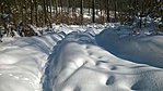 WP_20180224_032